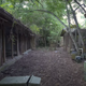 Illustration for article titled Master of social distancing tries to camp on abandoned Disney island, gets arrested for trespassing